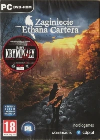 Zaginięcie Ethana Cartera