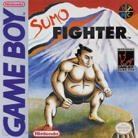 Sumo Fighter