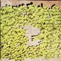 Horizon Zero Dawn (box)