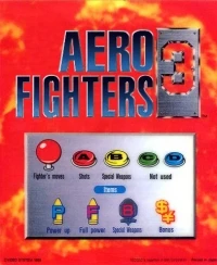 Aero Fighters 3