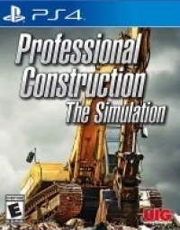 Professional Construction: The Simulation