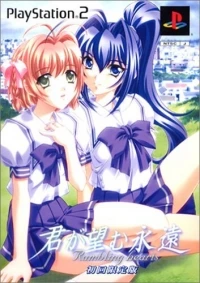 Kimi ga Nozomu Eien: Rumbling Hearts - Shokai Genteiban