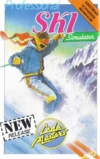 Professional Ski Simulator