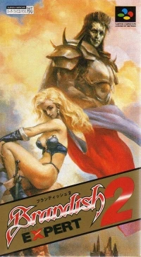 Brandish 2: Expert