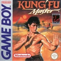Kung Fu Master