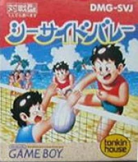 Seaside Volleyball