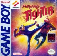 Raging Fighter
