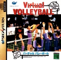 Virtual Volleyball