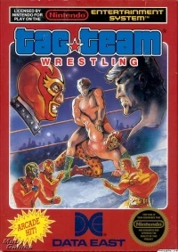 Tag Team Wrestling (5 screw cartridge, round seal)