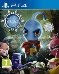 Ginger: Beyond the Crystal