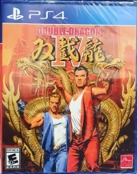 Double Dragon IV (orange cover)
