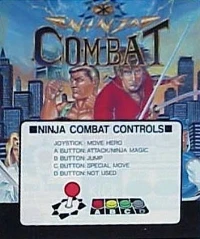 Ninja Combat
