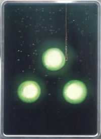 Tom Clancy's Splinter Cell: Chaos Theory (steelbook)