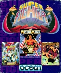 Super Fighter